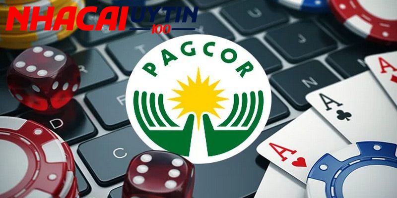 Khám Phá 77ball Chơi Cá Cược Mỗi Ngày Không Giới Hạn 2 Đôi nét cơ bản về nhà cái 77ball